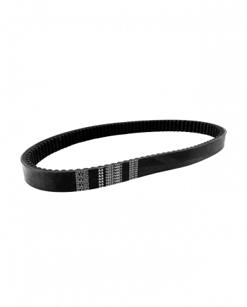102374901 belt